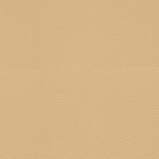 Pelle Latte HP 1611XL